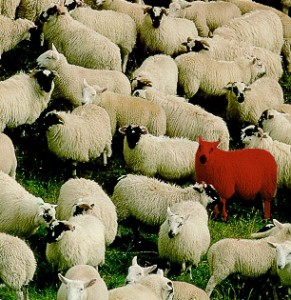 bloodysheep