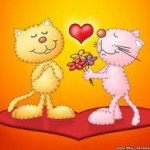 cat romance