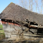 DSCN5510