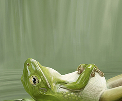 Lighten Up img