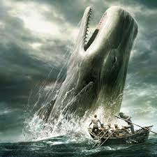 Moby-Dick sans barnacles
