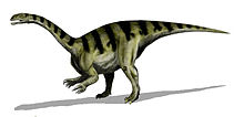 Prosauropod